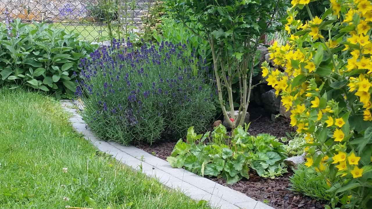 Neue Fewo In Perfekter Lage Limburg an der Lahn Ngoại thất bức ảnh